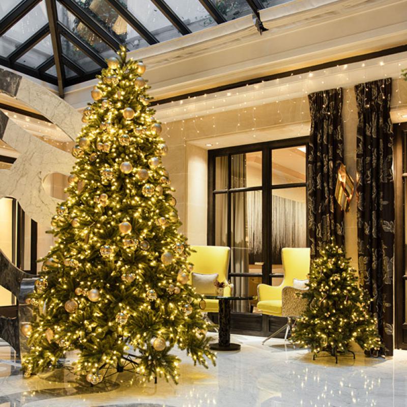 Festive Stay